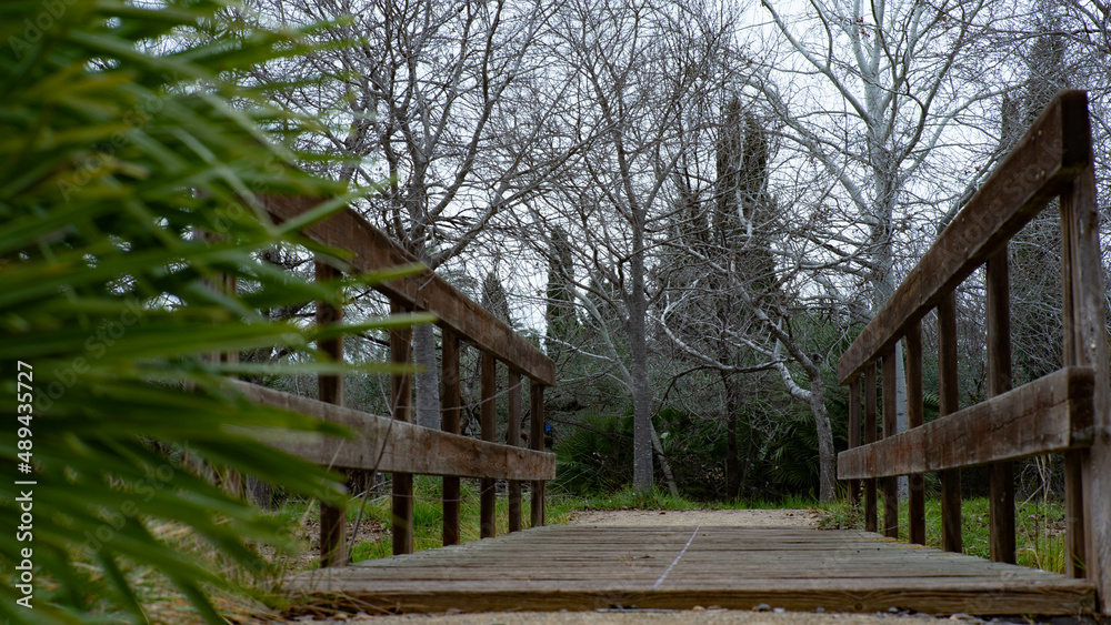 Puente en Jardín