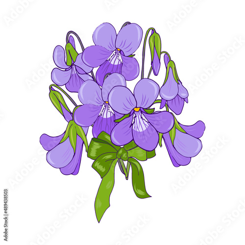 bouquet of forest violets with a green bow