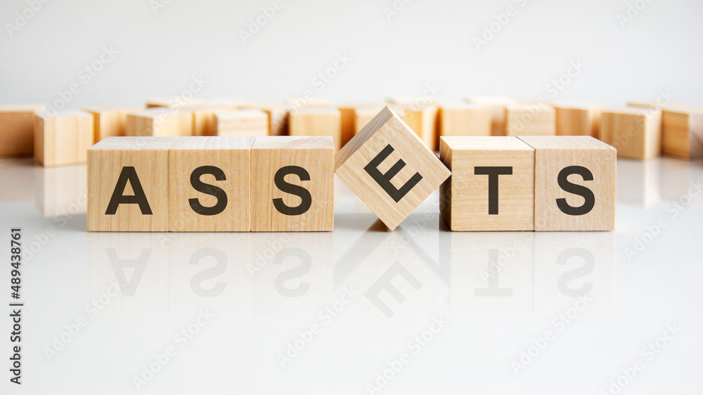 ASSETS text on a wooden blocks, gray background ASSETS text on a wooden blocks, gray background