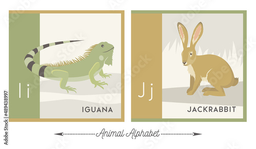 Illustrated alphabet with animals for kids. Letter I for iguana and letter J for jackrabbit. Vector collection of wildlife. For printable cards, learning tools, decor.