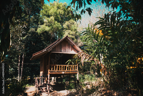 small wooden cottage in the jungle