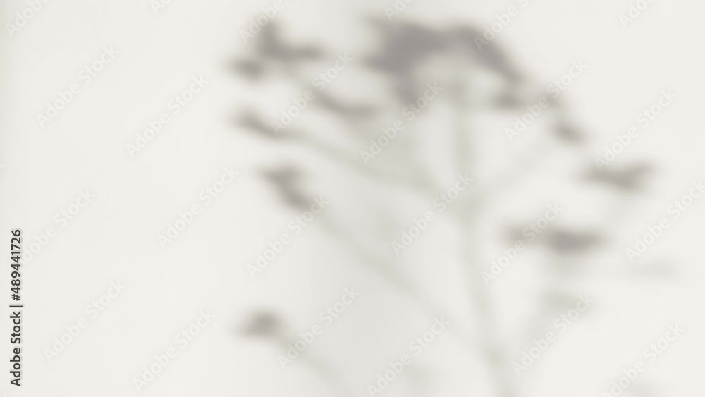 Abstract silhouette overlay shadows white background of natural leaves tree branch falling on wall. Transparent blurry shadow leaf in morning sun light.