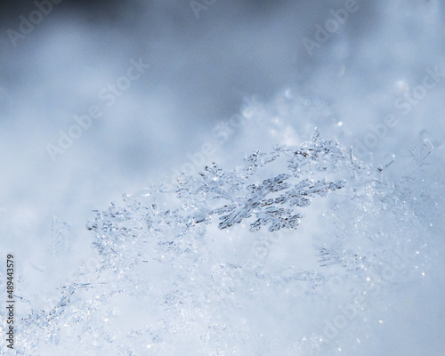 close up of Snowflake, macro