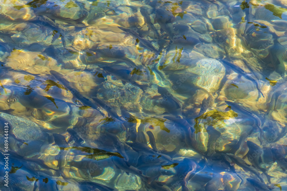 Background image of clear water with rocks below the surface in summer time. Wallpaper, calming, pristine photo. Background image of clear water with rocks below the surface in summer time. Wallpaper, calming, pristine photo.