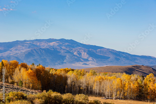Sunny view of the fall color around Conway Summit