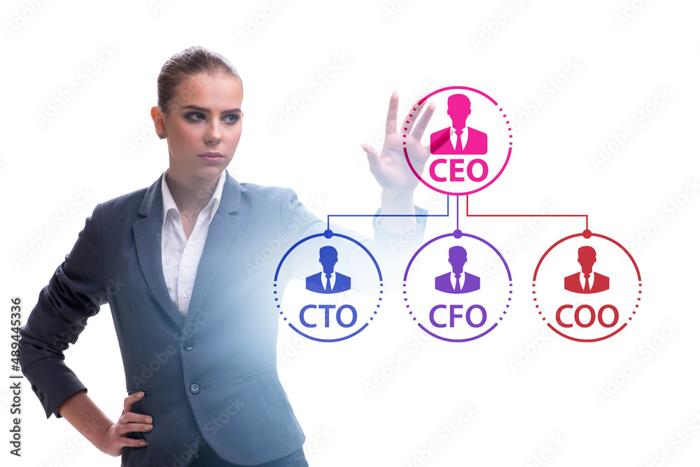Businesswoman in the organisation chart concept Businesswoman in the organisation chart concept