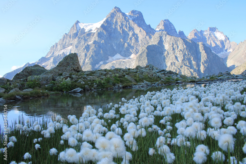 Obraz premium Amazing reflections in lake Tuckett looking Mont Pelvoux in the French alps