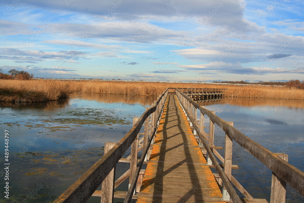 Wooden pontoon in the marshes of Candillargues pond in the south of Montpellier

