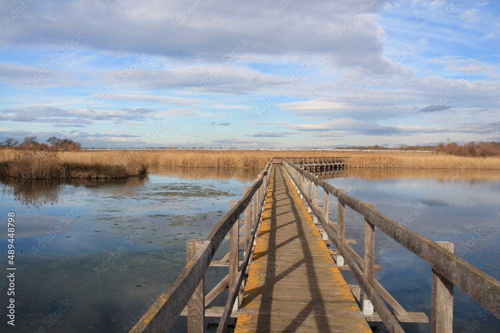 Naklejka premium Wooden pontoon in the marshes of Candillargues pond in the south of Montpellier