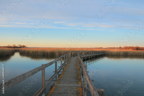 Wooden pontoon in the marshes of Candillargues pond in the south of Montpellier  © Picturereflex