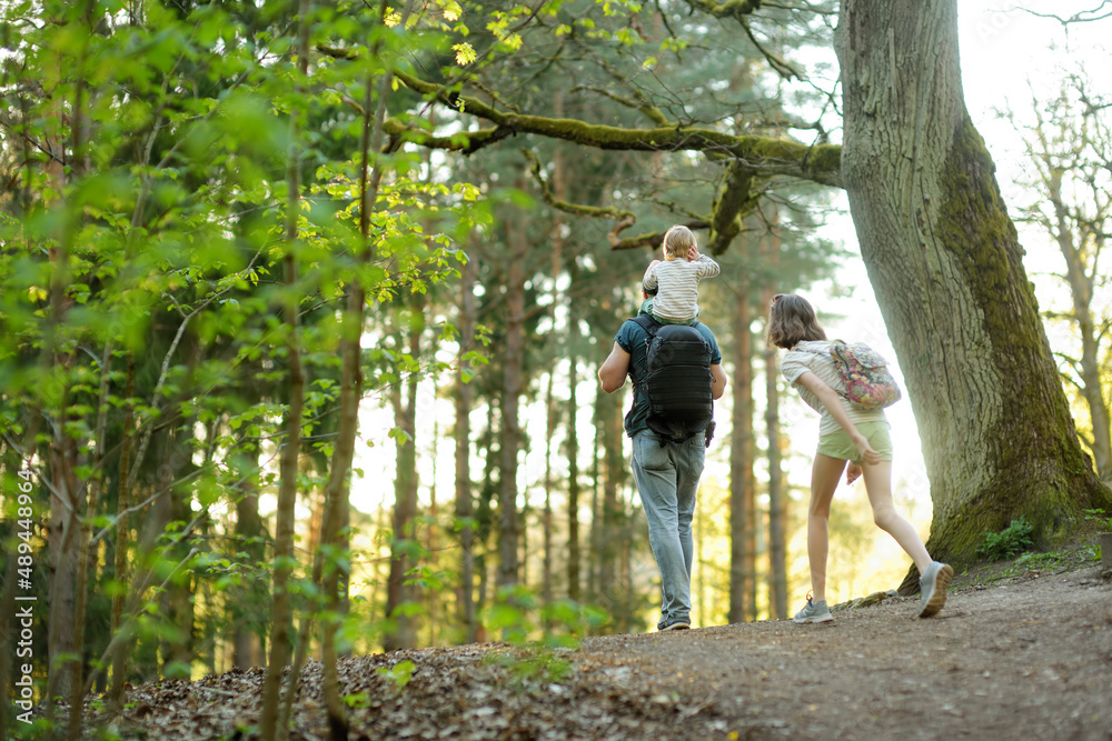 Obraz premium Young father and his two kids hiking in the woods. Family of three having fun on a walking trail on sunny spring day.