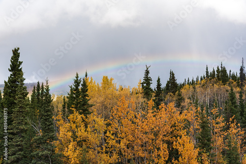 Wilderness area of Canada in fall, autumn season with blue sky background on pristine autumn day. Taken off the Alaska Highway, Yukon Territory with a rainbow. 