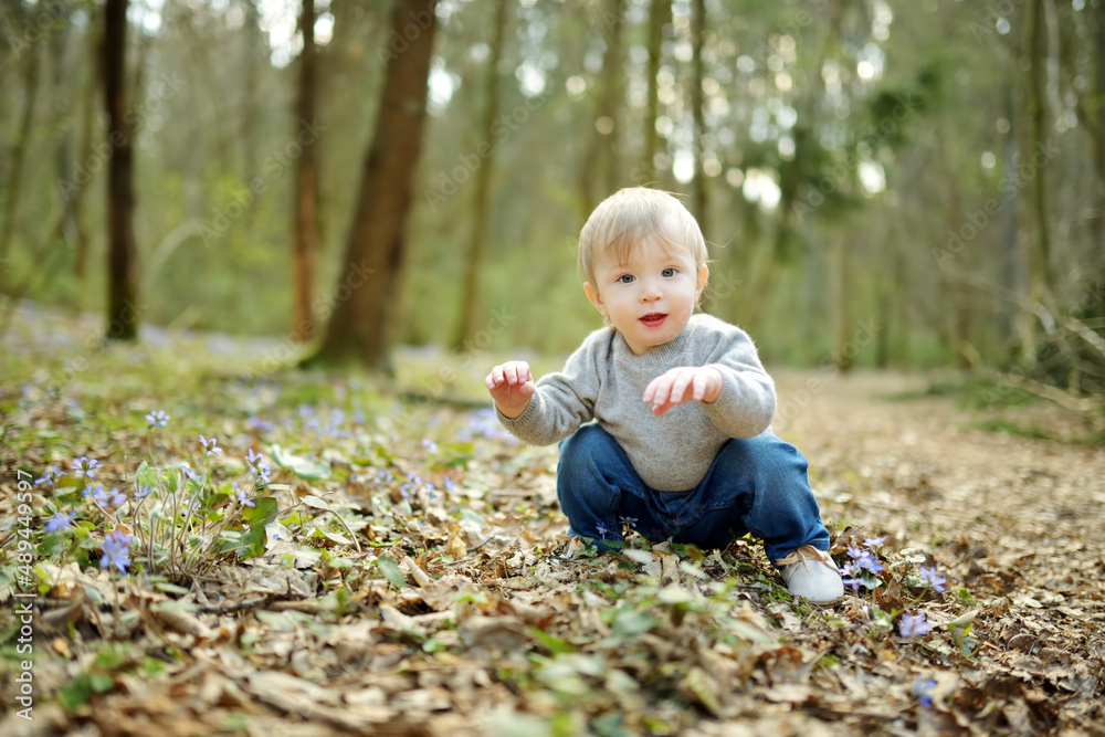 Adorable toddler boy having fun during a hike in the woods on beautiful sunny spring day. Active family leisure with kids. Adorable toddler boy having fun during a hike in the woods on beautiful sunny spring day. Active family leisure with kids.