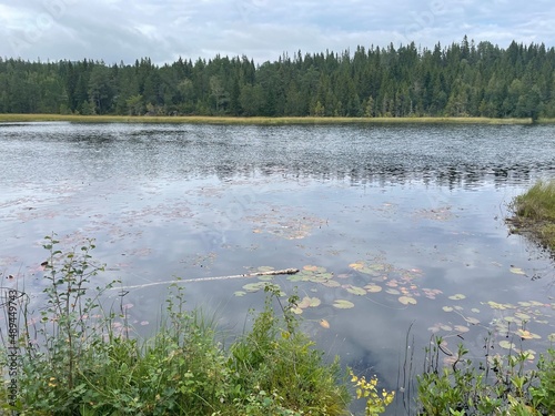 lac forêt