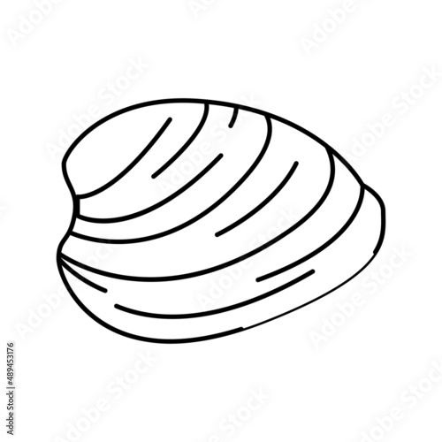 ocean quahog clam line icon vector illustration
