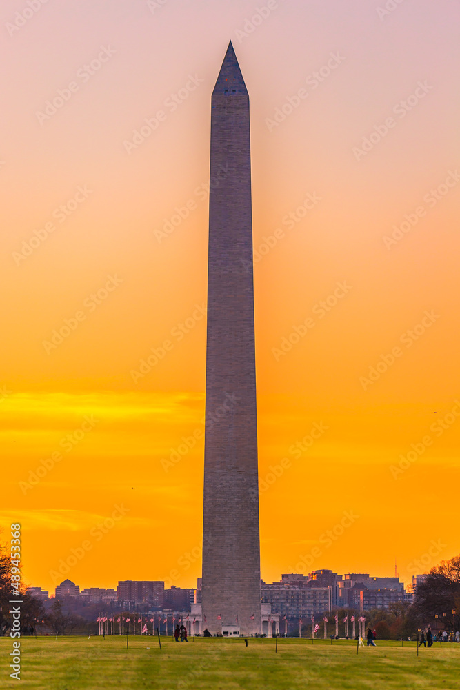 Fototapeta premium Washington Monument Sunset