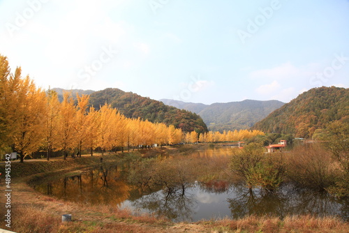 autumn landscape