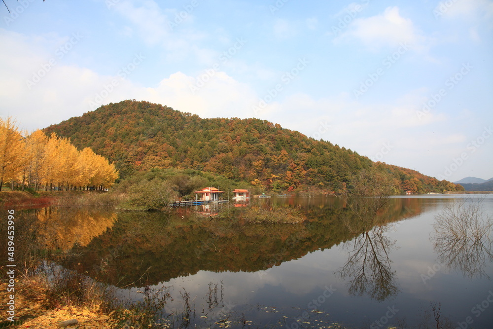 autumn landscape autumn landscape