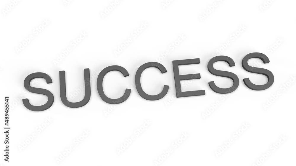 3d rendering illustration of success lettering