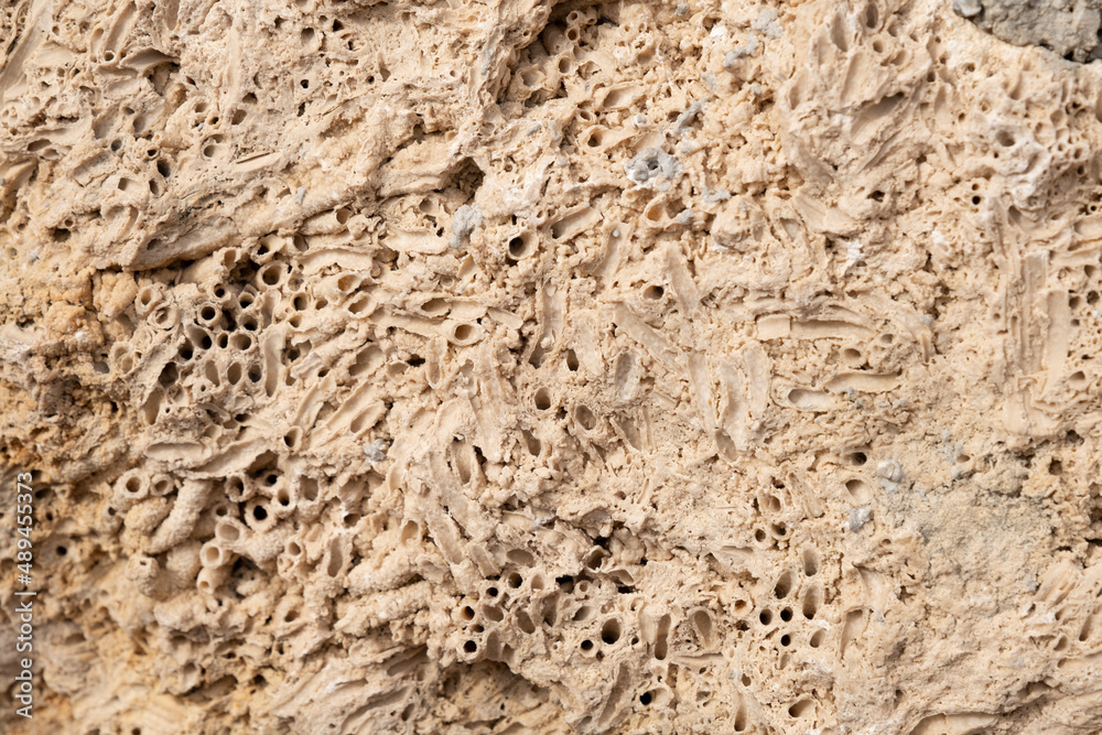 Macro stone wall texture image Macro stone wall texture image