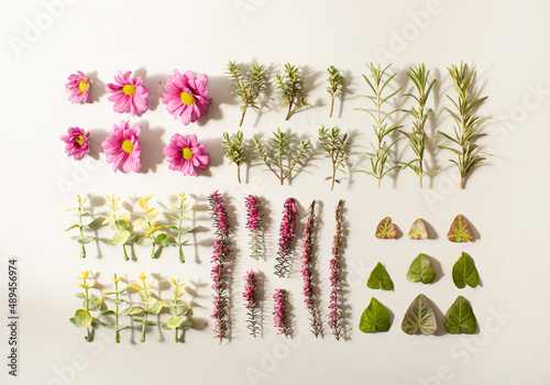 Leaves and flowers neatly arranged on a gray background, . flat lay. Minimal spring concept