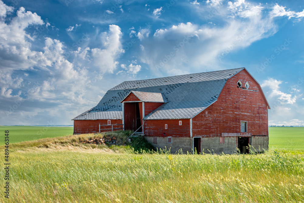 An abandoned red basement or bank barn on the prairies in Saskatchewan An abandoned red basement or bank barn on the prairies in Saskatchewan