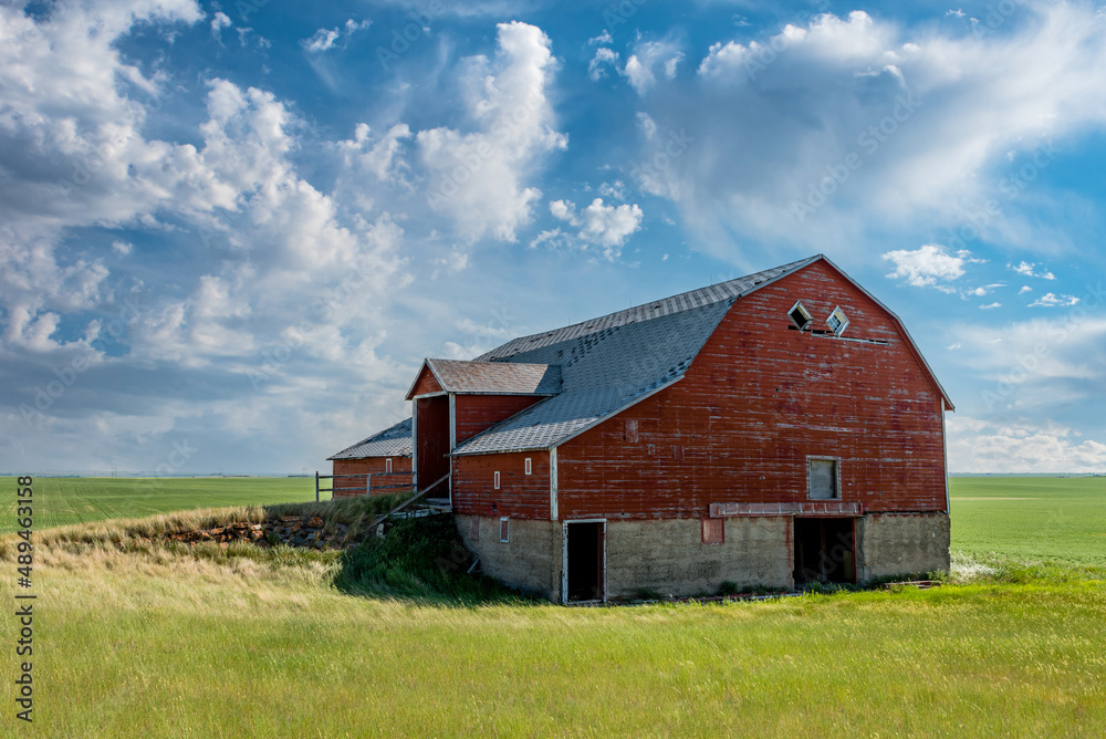 An abandoned red basement or bank barn on the prairies in Saskatchewan An abandoned red basement or bank barn on the prairies in Saskatchewan