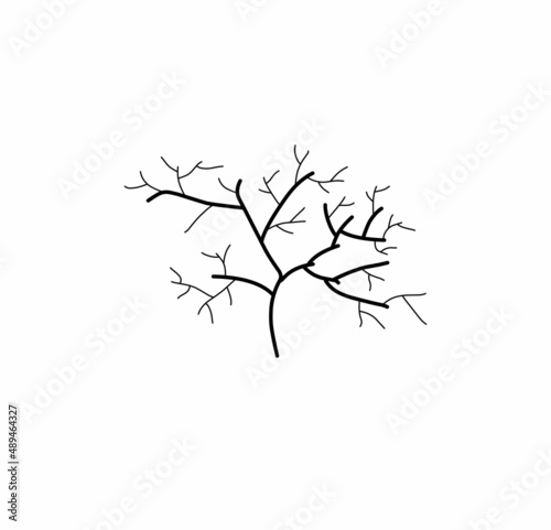 tree branch illustration