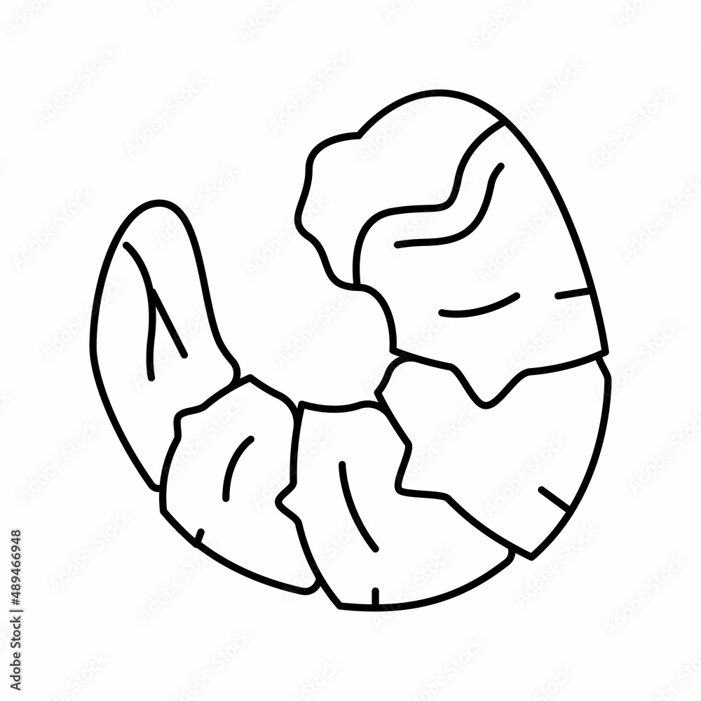 prawn seafood line icon vector illustration prawn seafood line icon vector illustration