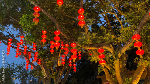 Holiday lanterns hanged on tree