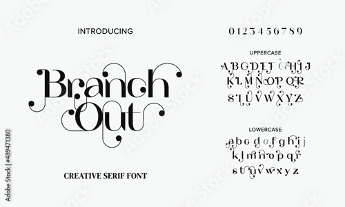 Elegant serif alphabet font. Fashion wedding decorative vintage concept. Vector illustration