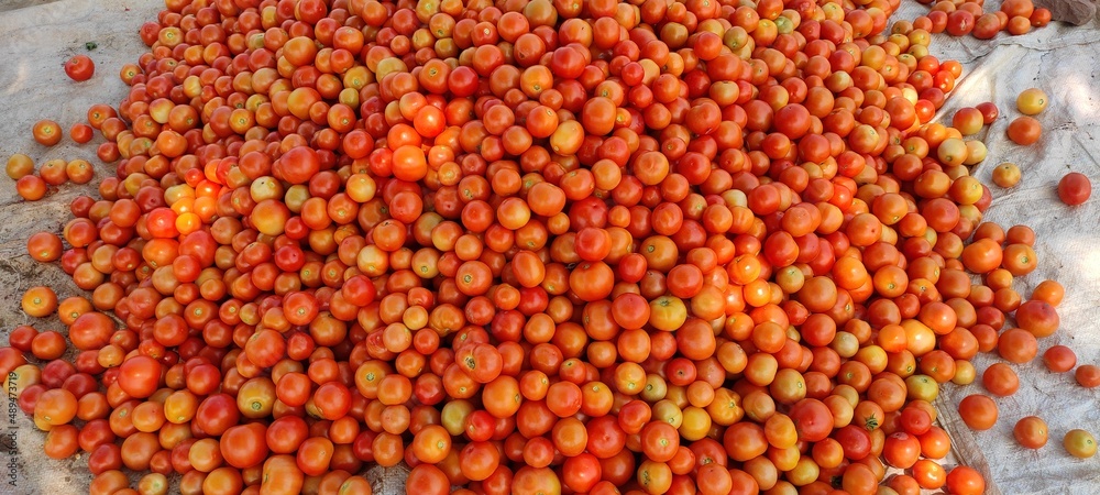 beans in the market
