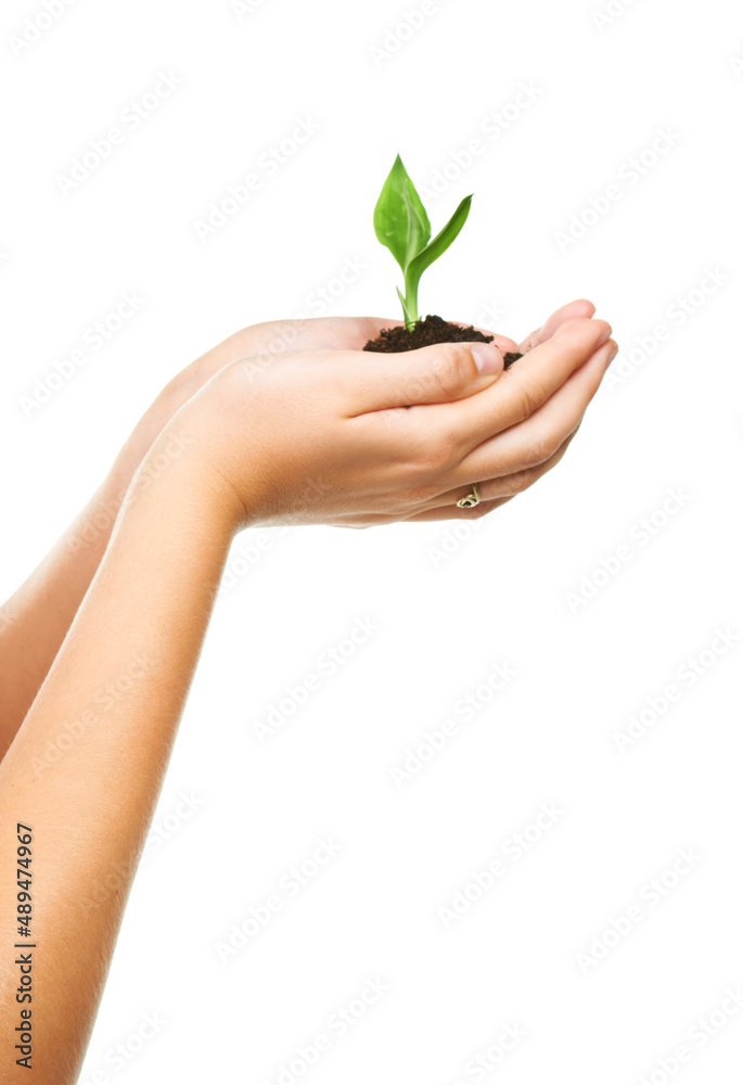 Nurturing hands. Closeup shot of cupped hand holding a small seedling.
