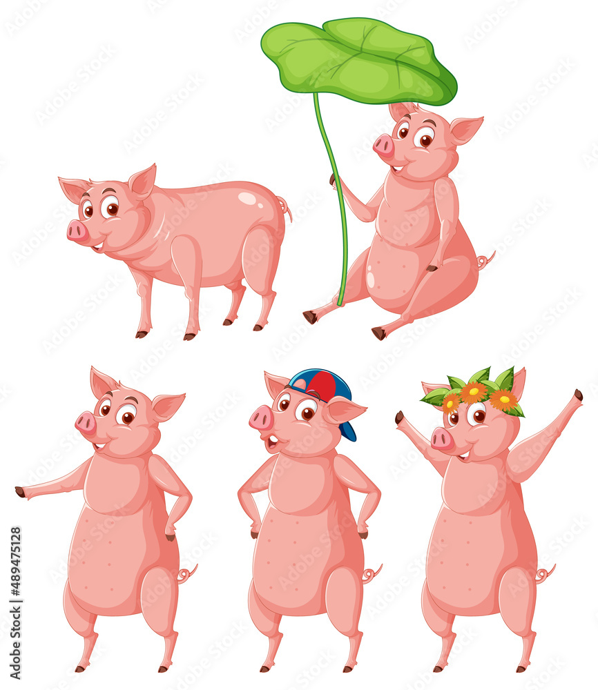 Set of different farm pigs in cartoon style Set of different farm pigs in cartoon style