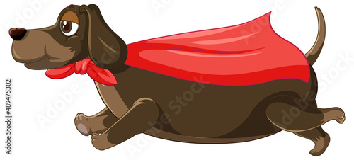 A dog superhero on white background