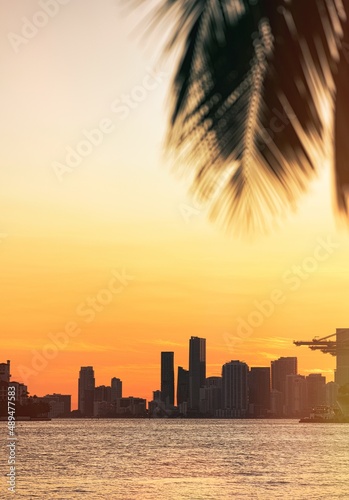 sunset over the city skyline beautiful color palms tropical miami sea florida 