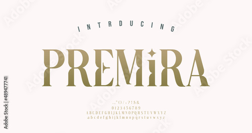 Luxury alphabet letters font. Typography elegant wedding classic lettering serif fonts decorative vintage retro diamond concept. vector illustration