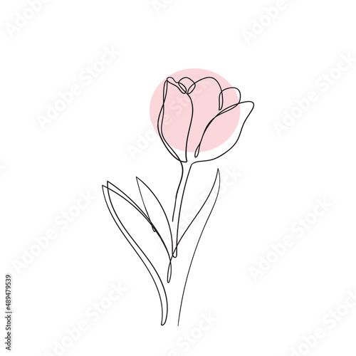 continuous line drawing flower plant illustration isolated vector