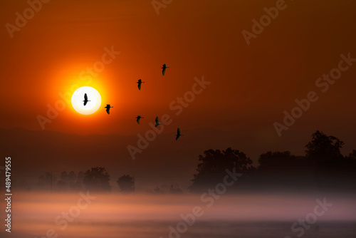 Good morning, flock of birds flying through the scenery in front of the rising sun.