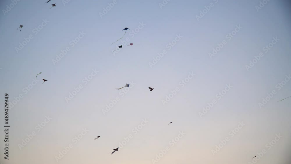 Many different kites are flying in the sky Many different kites are flying in the sky