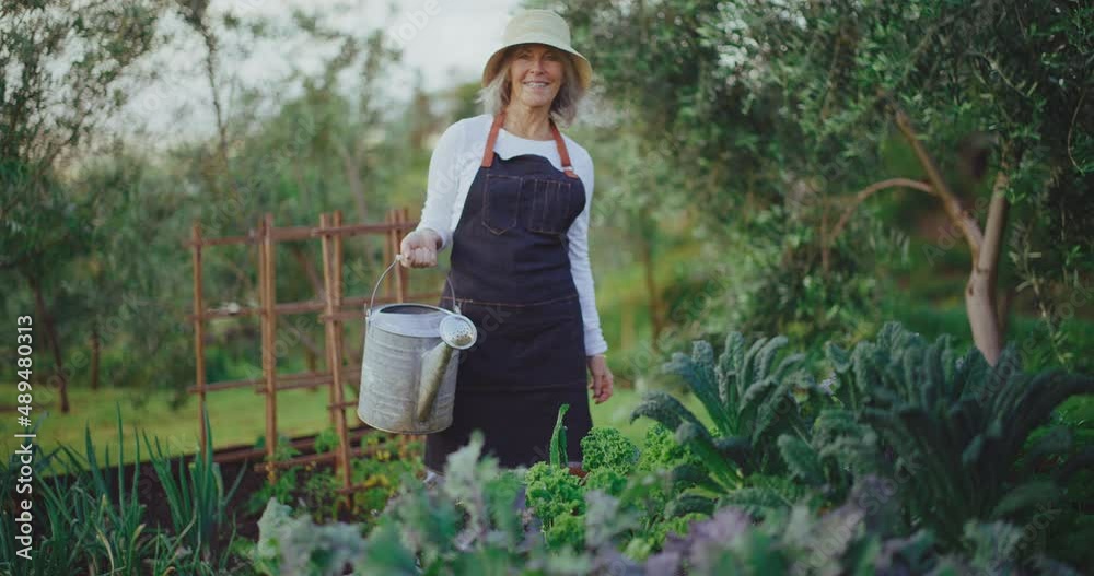 Portrait of mature retired woman gardening, watering her plants and tending the garden Portrait of mature retired woman gardening, watering her plants and tending the garden