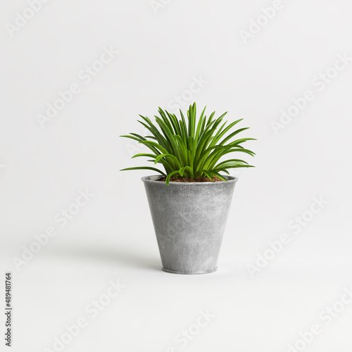 Potted green plants set isolated on light background
