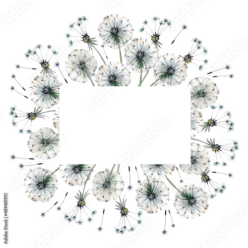 Frame of fluffy dandelions and seeds, drawn in watercolor and black pen, isolated for greetings, greetings, cards.