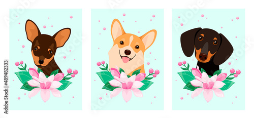 A set of dogs with magnolia flowers. Cartoon design. Vector illustration.
