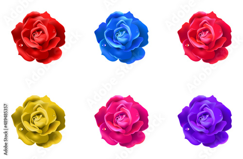 Realistic Colorful Rose Flower Set