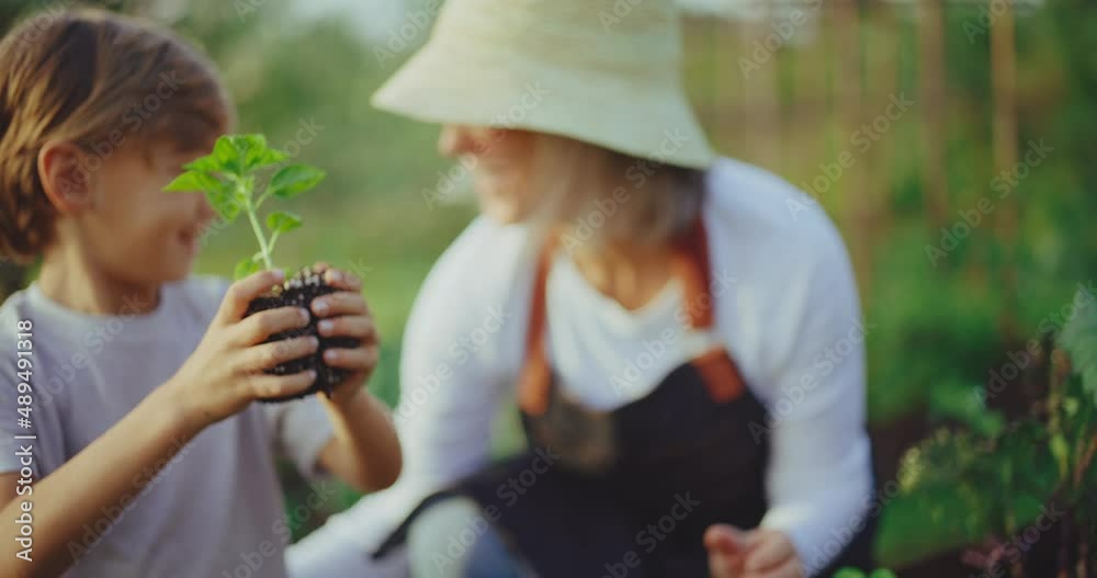 Grandmother teaching young grandson how to plant new starts in the garden bed
