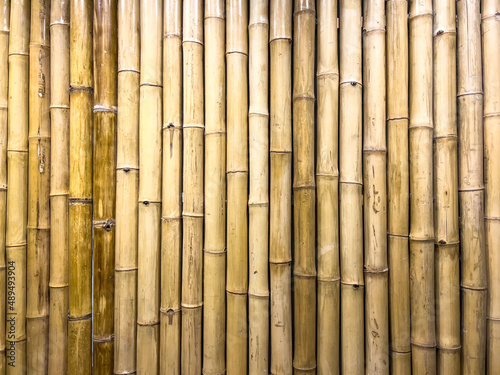Vertical bamboo fence background