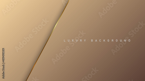 Rose luxury background with gold elements, paper concept design