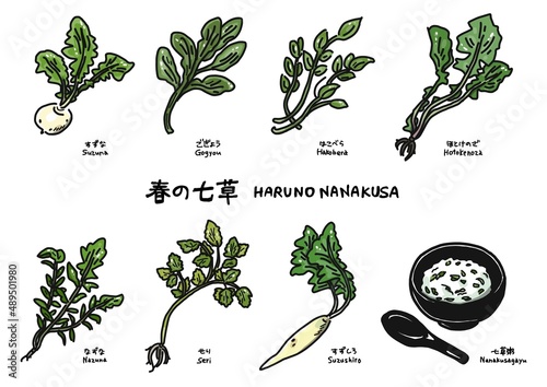 春の七草のイラストセット(すずな、ごぎょう、はこべら、ほとけのざ、なずな、せり、すずしろ、七草粥)