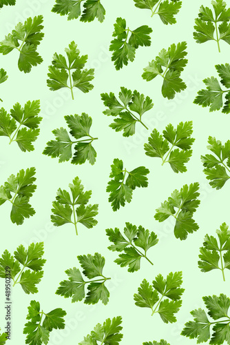 fresh celery leaves on a green pattern background